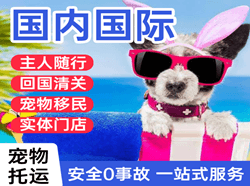 襄阳刘集航空快运国际宠物托运 【国